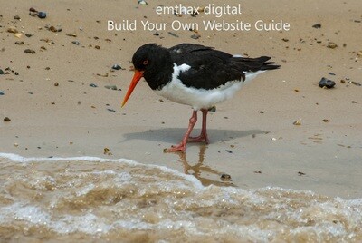 How to build and launch a good website