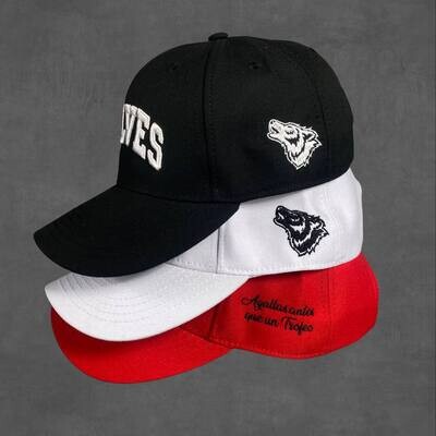 Gorras Curvas