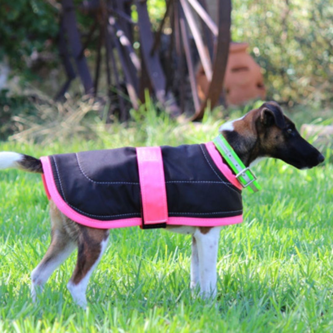 Winter Dog Coats - Oil Skin ($49 to $189)