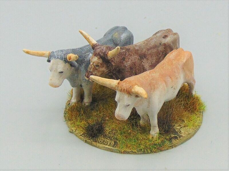 Longhorn Cattle