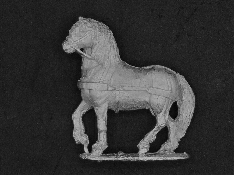 Galloway Nag 1