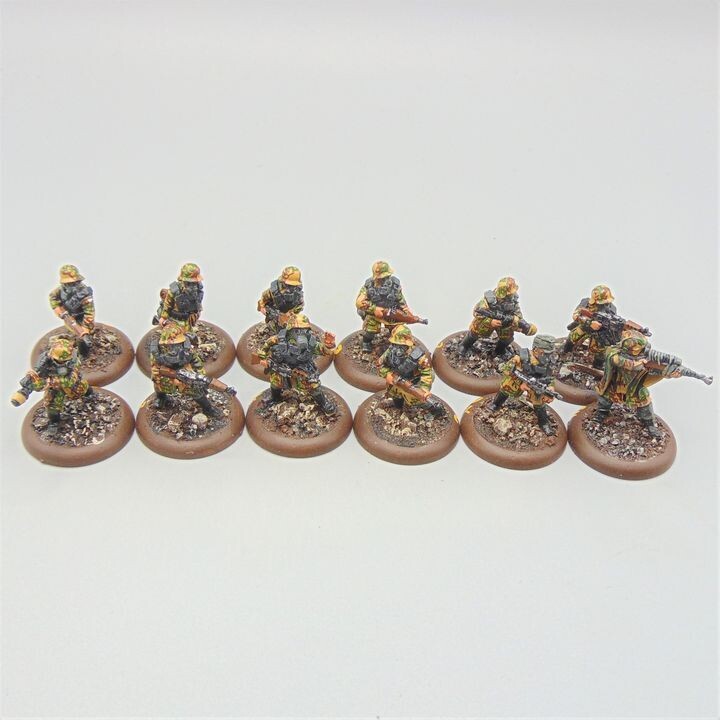 Grade D - Westwind Productions - SOTR - German Mech Grenadiers
