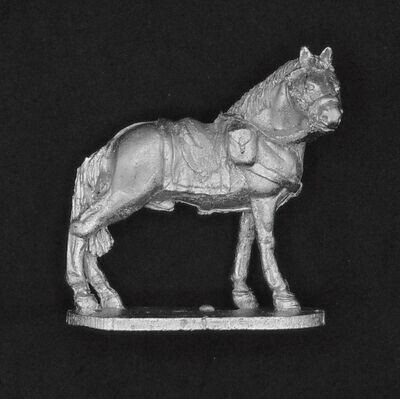 C19th Officers Horse