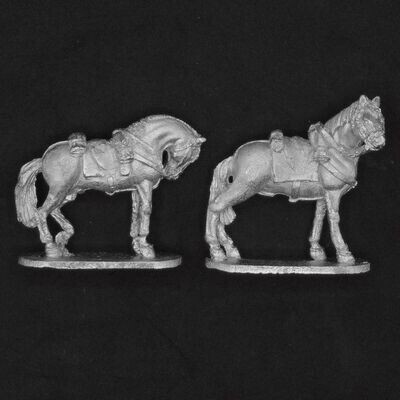 C19th Cavalry Horses, Standing
