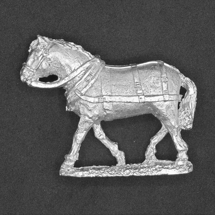 Elizabethan Draught Horse 2