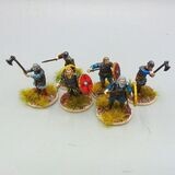 Grade D - Warlord Games - Dark Ages - Viking Hirdmen