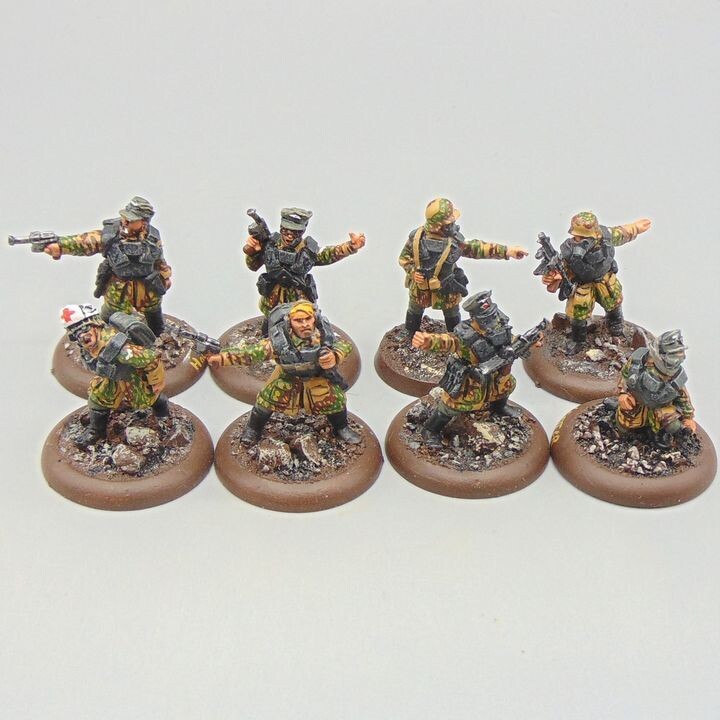 Grade D - Westwind Productions - SOTR - German Mech Grenadiers HQ Platoon