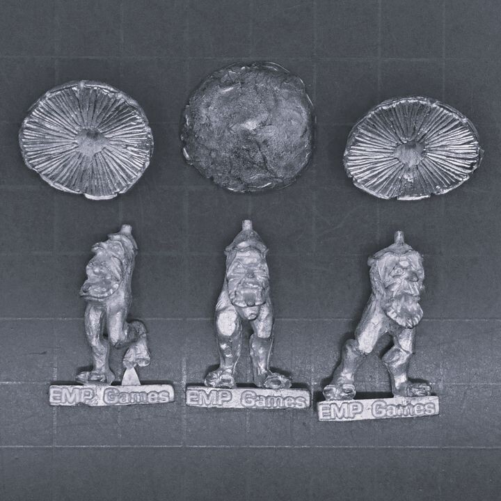 EMP Games, Fantasy:  Crazy Toadstools