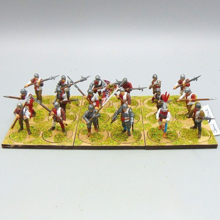 Grade E - Perry Miniatures - WOTR -  Halberdier Unit