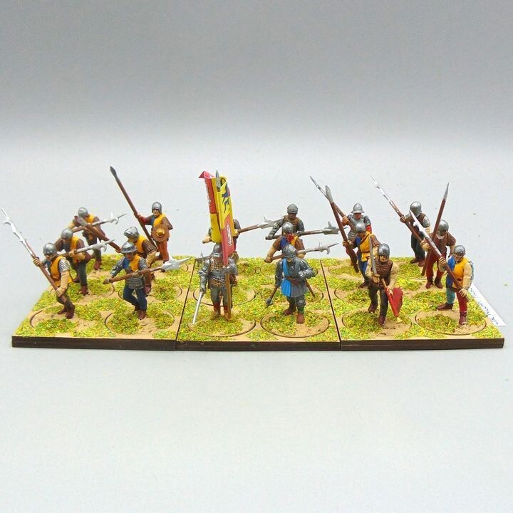 Grade E - Perry Miniatures - WOTR -  Halberdier Unit