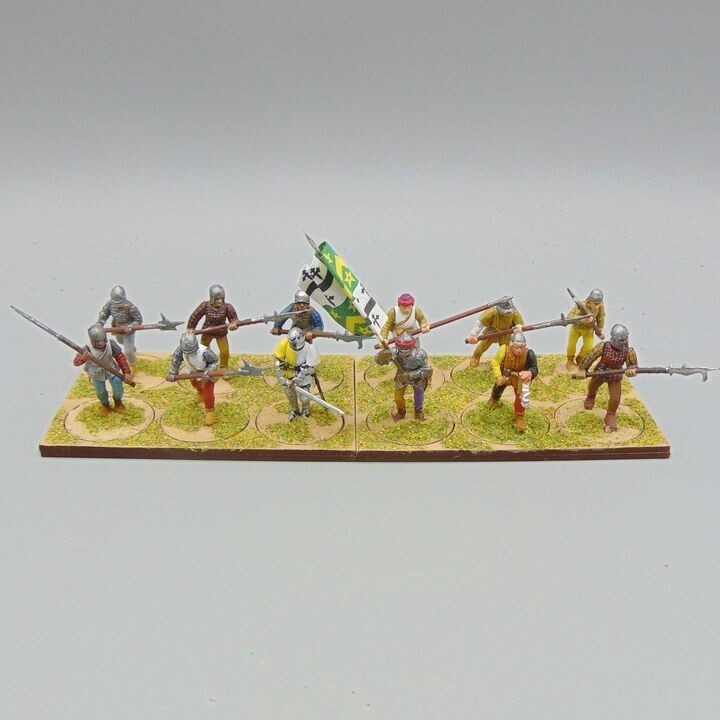 Grade E - Perry Miniatures - WOTR -  Halberdier Unit
