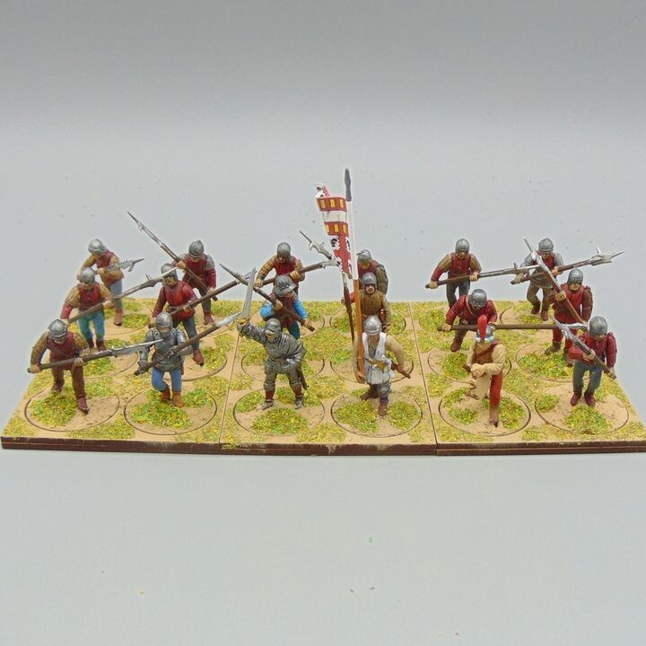 Grade E - Perry Miniatures - WOTR -  Halberdier Unit