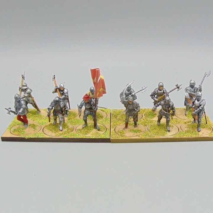 Grade F - Perry Miniatures - WOTR -  Men at Arms Unit