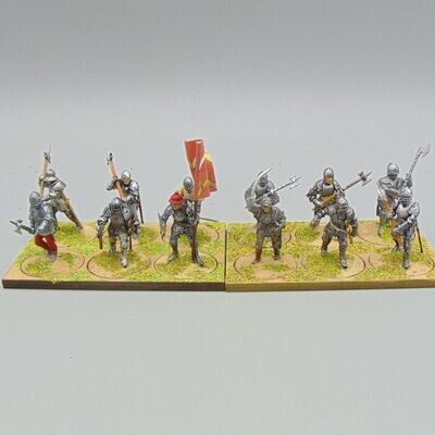 Grade F - Perry Miniatures - WOTR - Men at Arms Unit Grade F - Perry Miniatures - WOTR - Men at Arms Unit