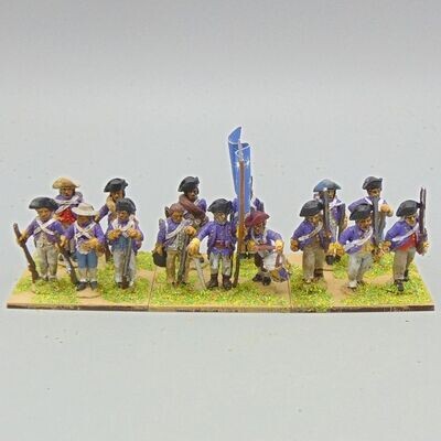 Grade D - Wargames Foundry - AWI -  US Militia Infantry Unit