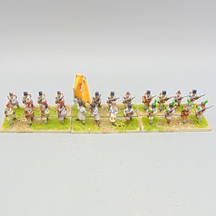 Grade E, RSM: Napoleonic, Saxon Line Infantry Unit in Greatcoats