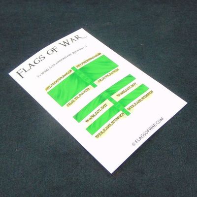 28mm, Flags of War, TYW: Swedish Schlammersdorf Regiment