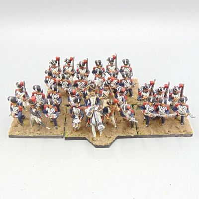 Grade E - Hinchliffe Figures - Napoleonic - French Old Guard Grenadier Unit