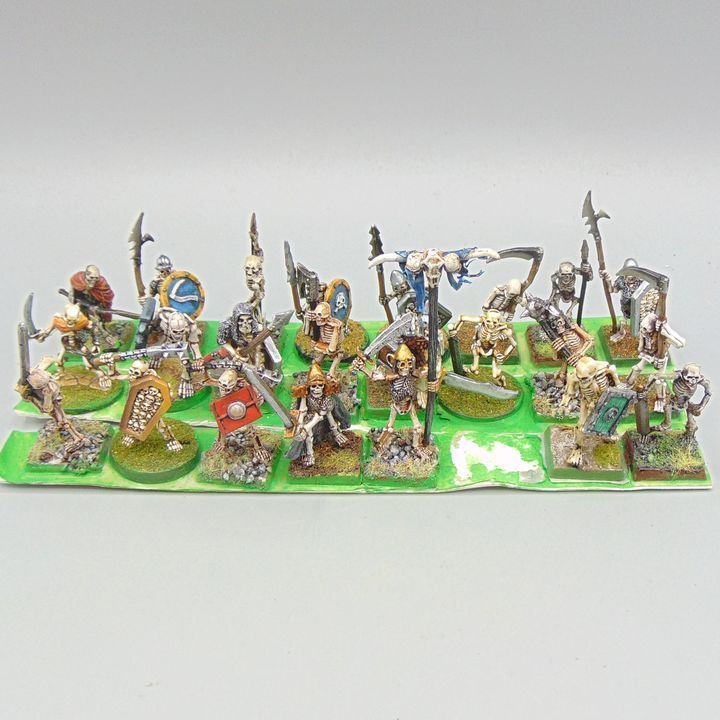 Grade D - Black Tree Design - Skeleton Warriors Unit