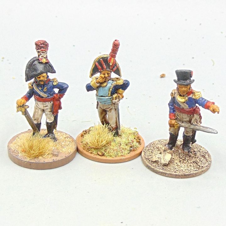 Grade E - Perry Miniatures - Napoleonic -  Spanish Officers