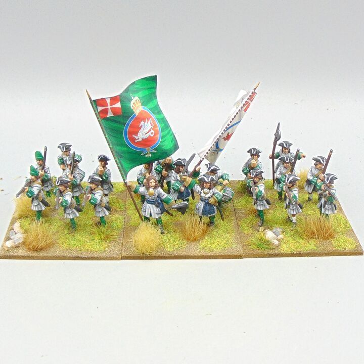 Grade C - Ebor Miniatures - GNW - Danish Infantry Unit