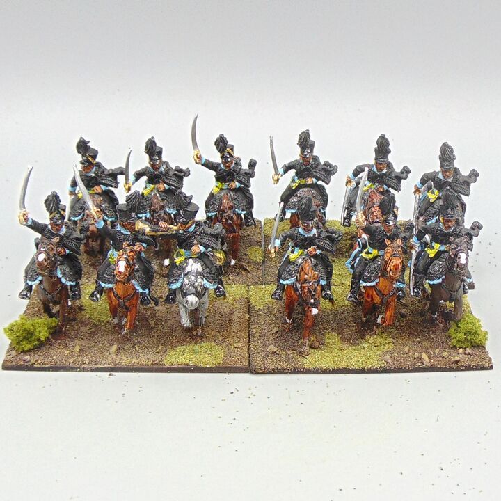 Grade E - Perry Miniatures - Napoleonic - Brunswick Hussars Unit