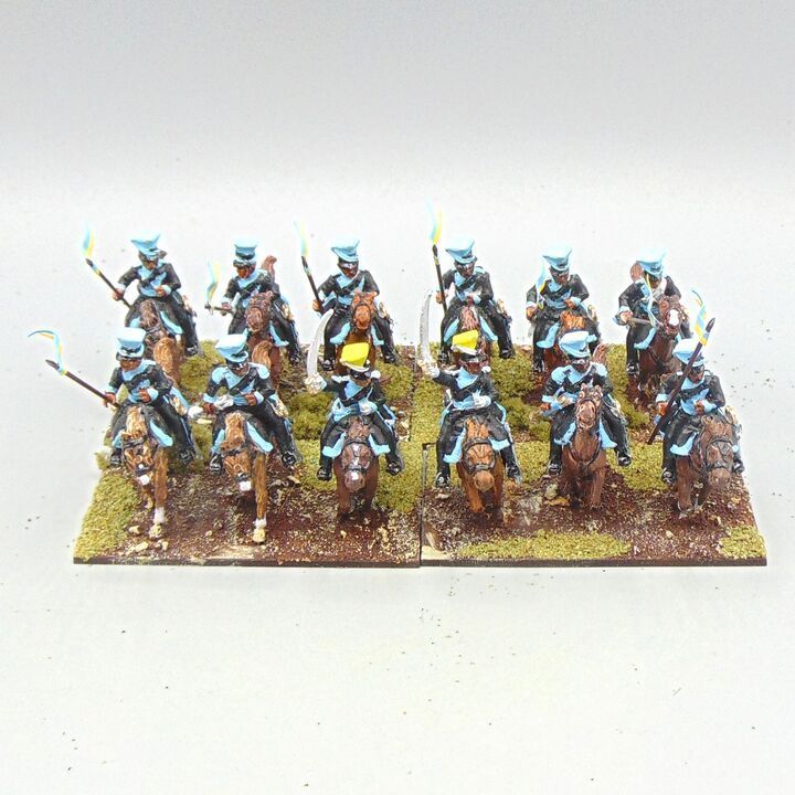 Grade E - Perry Miniatures - Napoleonic - Brunswick Lancers Unit Grade E - Perry Miniatures - Napoleonic - Brunswick Lancers Unit