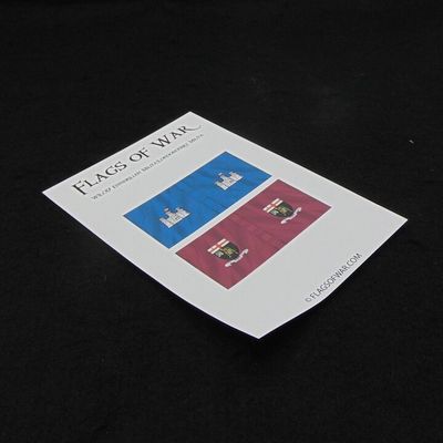 28mm, Flags of War, Williamite Wars: Enniskillen Militia/Londonderry Militia