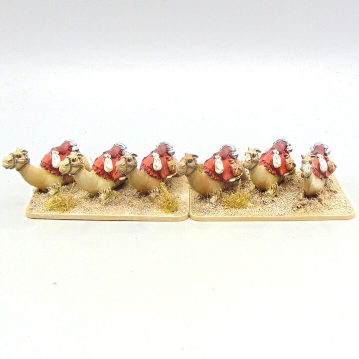 Grade D - Connoisseur Figures - Mahdist War - Kneeling British Camel Corps Camels