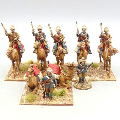 Grade D - Perry Miniatures - Mahdist War - British Camel Corps