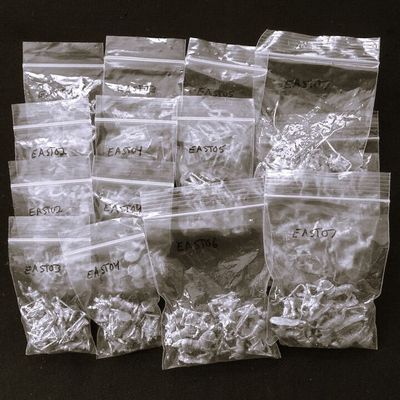 Splintered Light Miniatures, Fantasy - 'Men of the East' Army