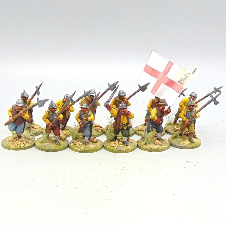 Grade D - D'arlo Figurines - Border Reivers - English Garrison or Footloon Halberdier Unit