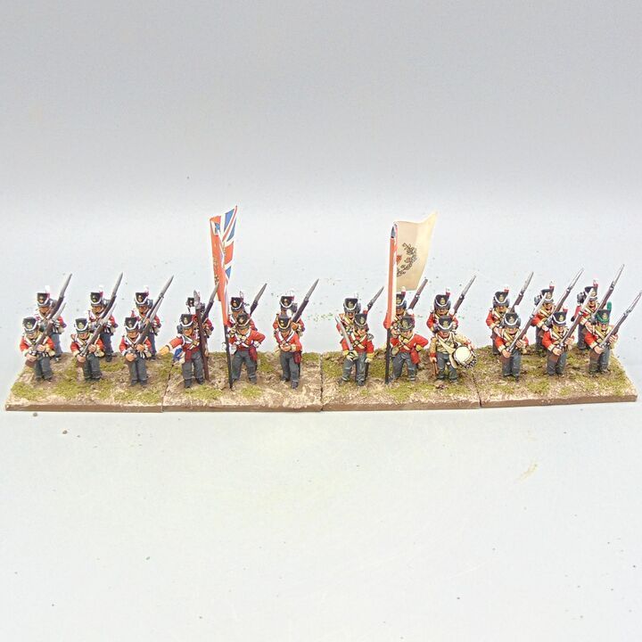 Grade C - Wargames Foundry - Napoleonic - British Line Infantry Unit
