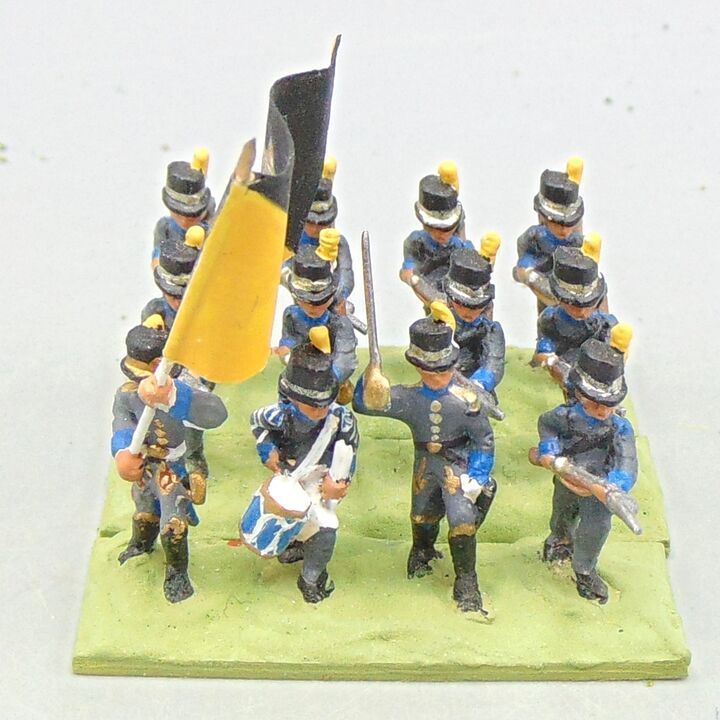 Grade D - Minifigs - Napoleonic - Swedish Line Infantry Unit