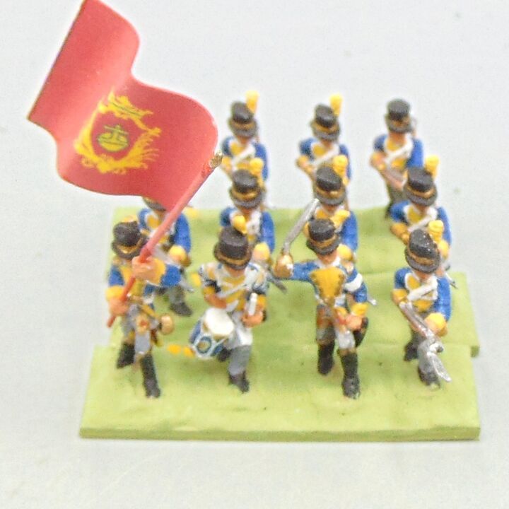Grade D - Minifigs - Napoleonic - Swedish Line Infantry Unit