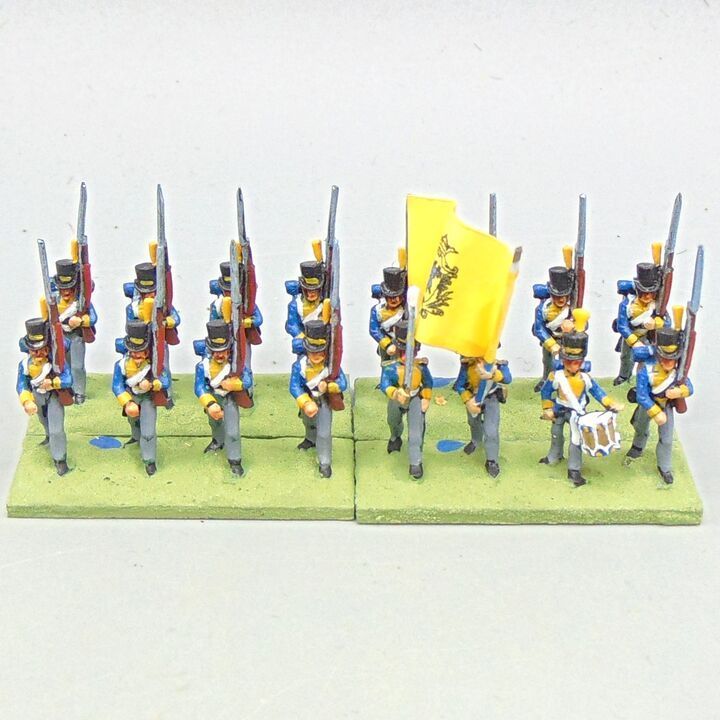 Grade D - Minifigs - Napoleonic - Swedish Line Infantry Unit