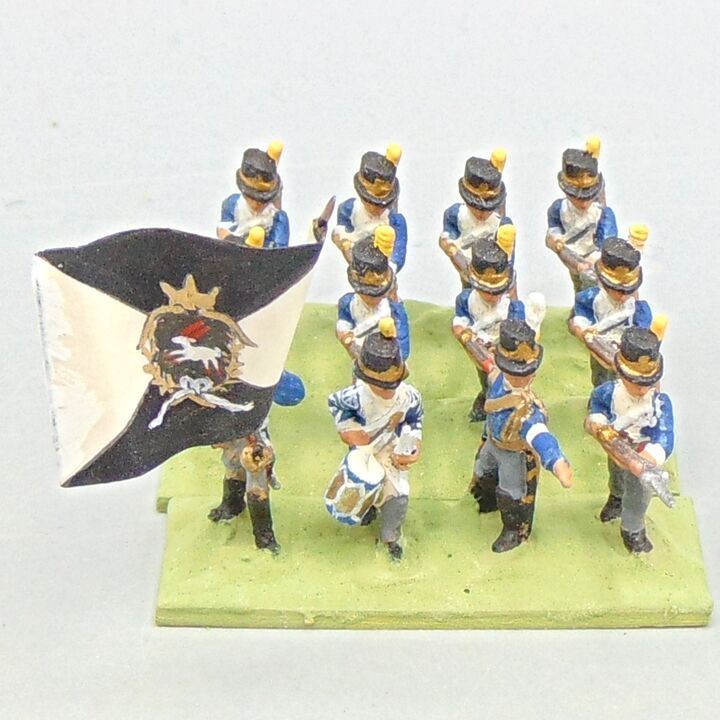Grade D - Minifigs - Napoleonic - Swedish Line Infantry Unit