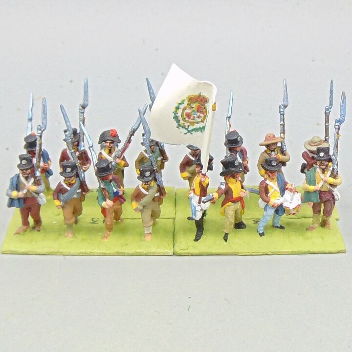 Grade D - Capitan Games - Napoleonic - Spanish Militia Infantry Unit