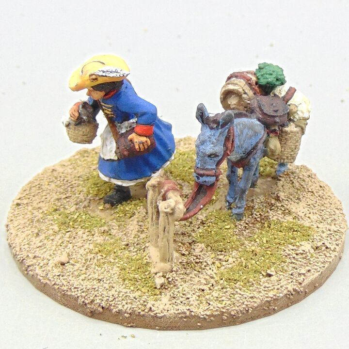 Grade C - Warlord Games - Napoleonic - French Vivandière with Donkey