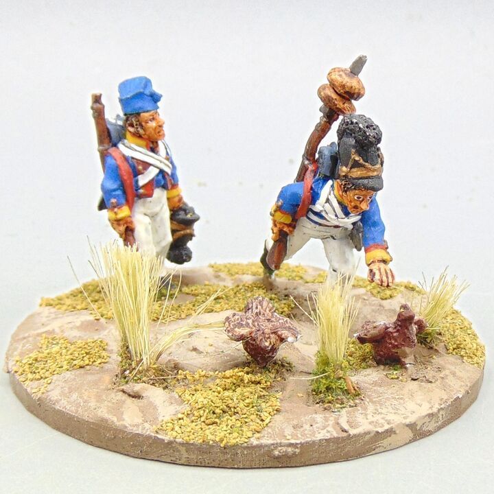 Grade D - Wargames Foundry - Napoleonic - Bavarian Infantry, Foraging