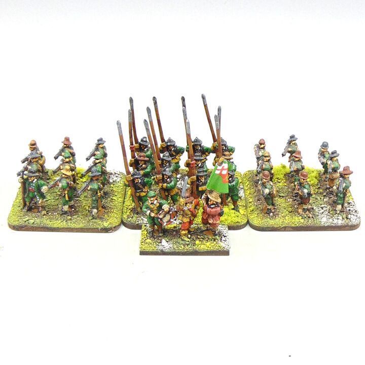 Grade C - Peter Pig - ECW - Pike & Shotte Unit Grade C - Peter Pig - ECW - Pike & Shotte Unit