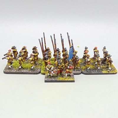 Grade C - Peter Pig - ECW - Pike & Shotte Unit Grade C - Peter Pig - ECW - Pike & Shotte Unit