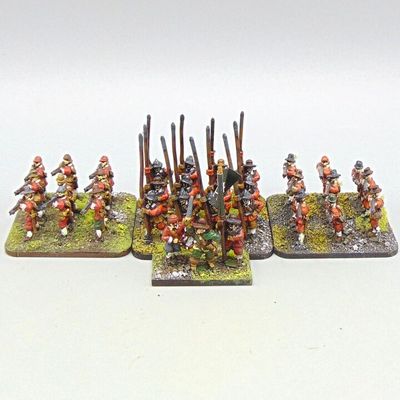 Grade C - Peter Pig - ECW - Pike & Shotte Unit Grade C - Peter Pig - ECW - Pike & Shotte Unit