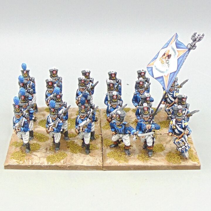 Grade B - Front Rank Miniatures - Napoleonic - 2nd Polish Infantry, Vistula Legion