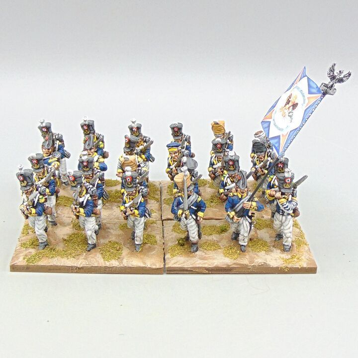 Grade B - Front Rank Miniatures - Napoleonic - 4th Polish Infantry, Vistula Legion