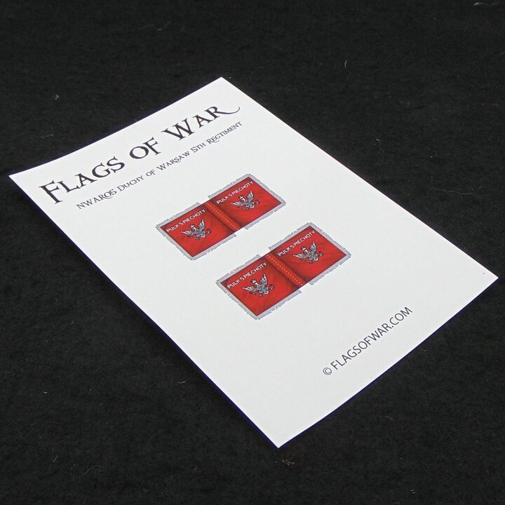 28mm, Flags of War, Napoleonic: Duchy of Warsaw 5th Regiment