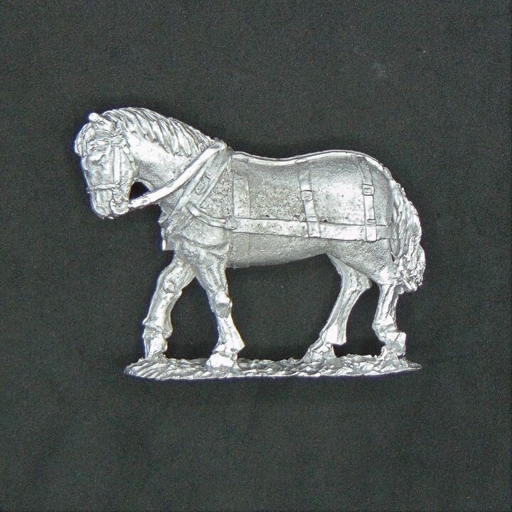 Elizabethan Draught Horse 1 Elizabethan Draught Horse 1