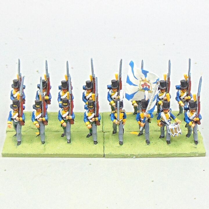 Grade D - Minifigs - Napoleonic - Swedish Line Infantry Unit Grade D - Minifigs - Napoleonic - Swedish Line Infantry Unit