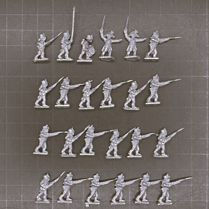 Warrior Miniatures, Napoleonic - Austrian Jagers or Landwehr Unit