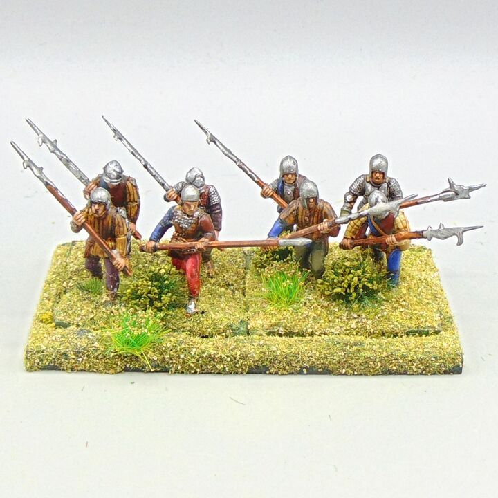 Grade D - Perry Miniatures - WOTR -  Billmen